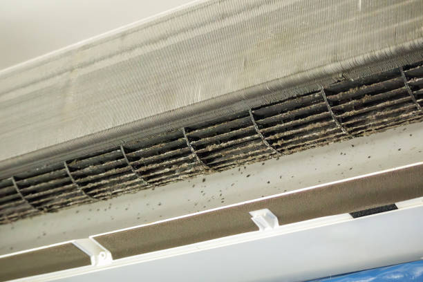 Best Residential Air Duct Cleaning  in Paris, KY